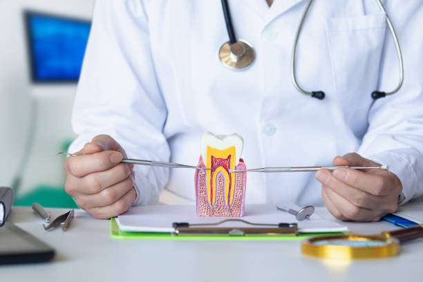 Best Emergency Dentist for Knocked-Out Tooth in Fontana, CA